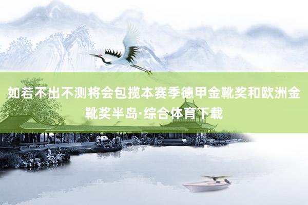 如若不出不测将会包揽本赛季德甲金靴奖和欧洲金靴奖半岛·综合体育下载