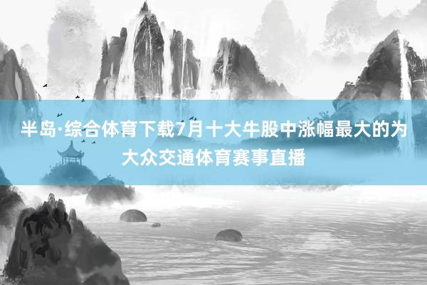 半岛·综合体育下载7月十大牛股中涨幅最大的为大众交通体育赛事直播