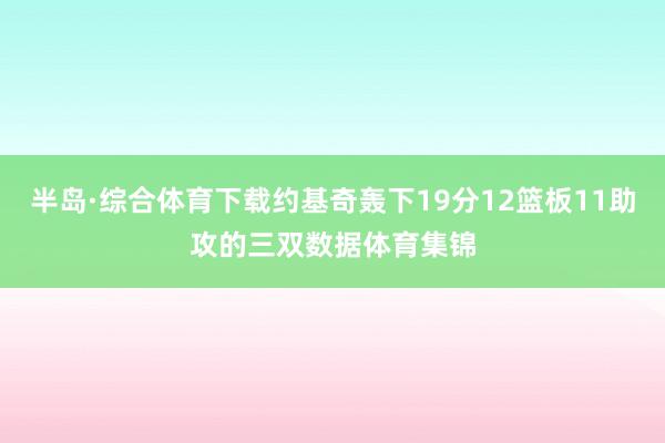 半岛·综合体育下载约基奇轰下19分12篮板11助攻的三双数据体育集锦