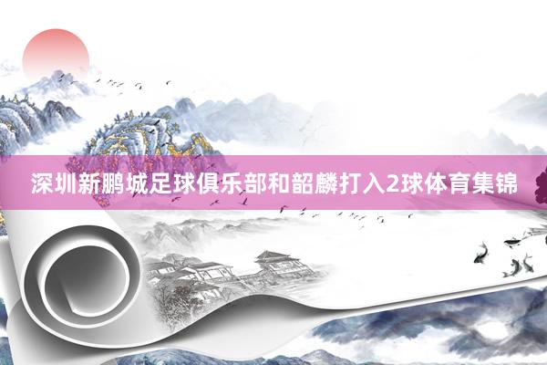 深圳新鹏城足球俱乐部和韶麟打入2球体育集锦